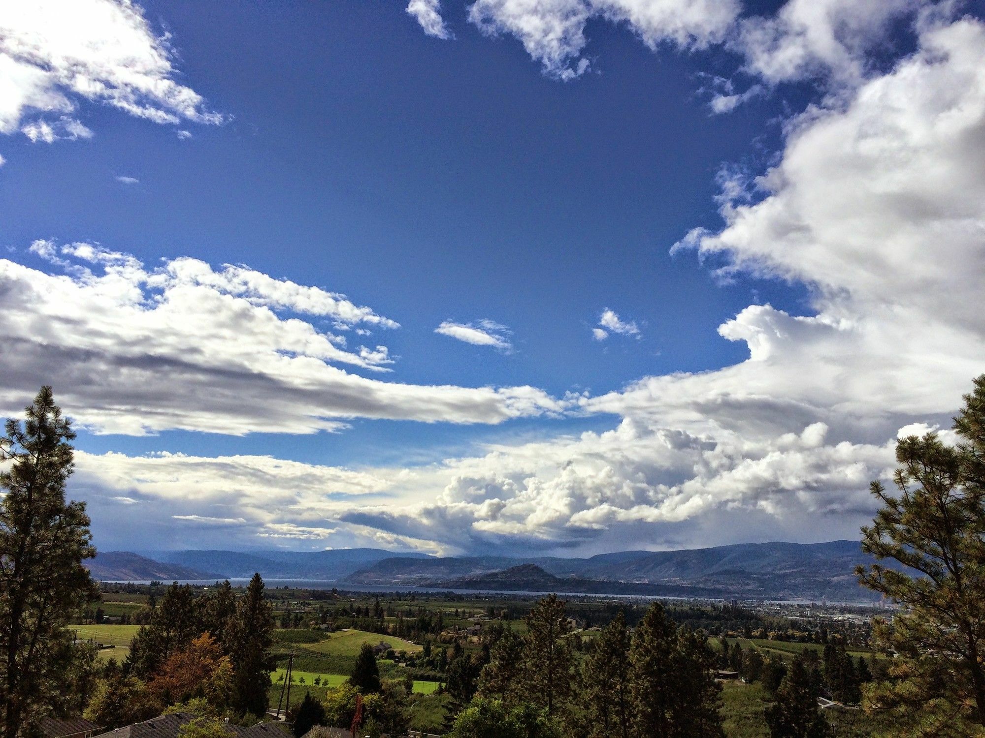 Acker Vacation Rentals Kelowna Exterior photo